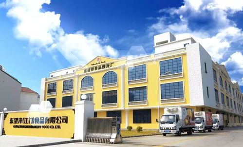 給力 江澳合作成效引人矚目 夢(mèng)想在此啟航